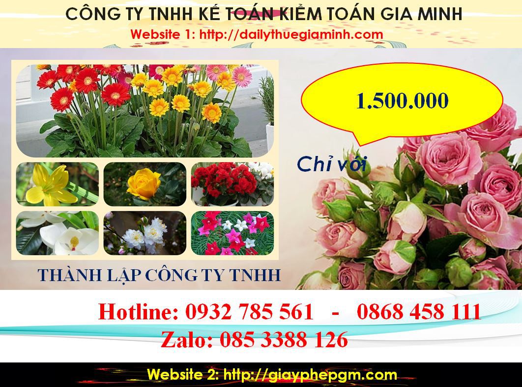 Thành lập công ty TNHH tại Hải Phòng 5 chi phí Thành lập công ty TNHH tại Hải Phòng