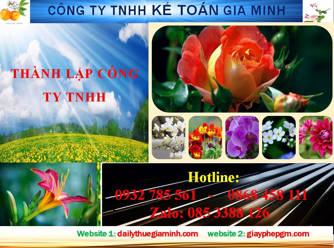 Thành lập công ty TNHH tại Hải Phòng 4 Dịch vụ Thành lập công ty TNHH tại Hải Phòng