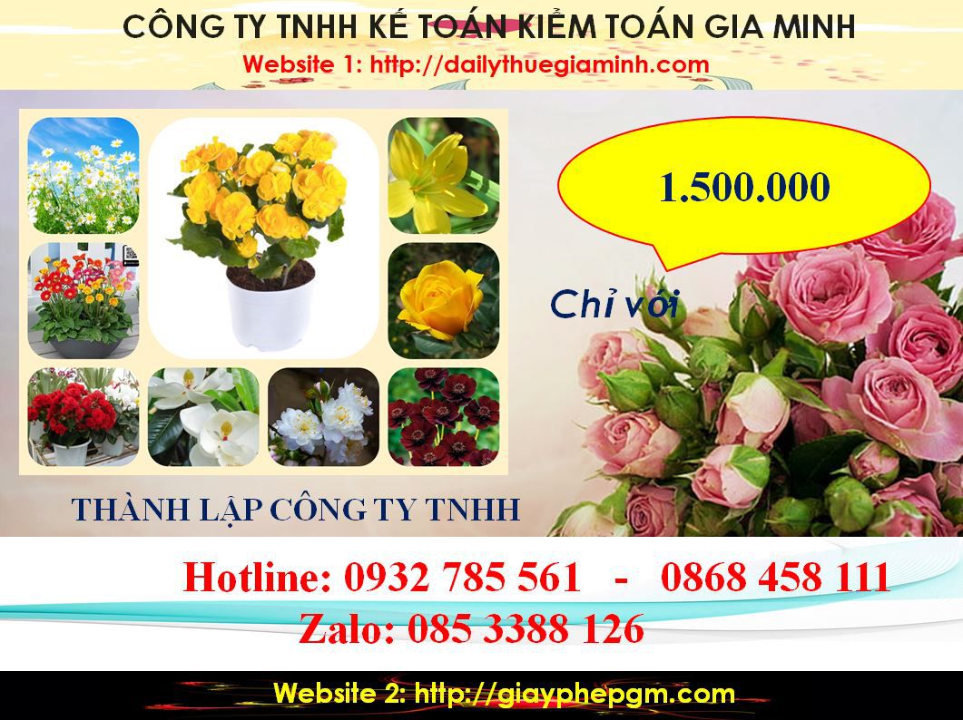 Thành lập công ty TNHH tại Huyện Bắc Tân Uyên 5 Chi Phí Thành lập công ty TNHH tại Huyện Bắc Tân Uyên