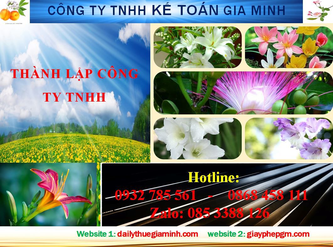 Thành lập công ty TNHH tại Huyện Bắc Tân Uyên 4 Dịch vụ Thành lập công ty TNHH tại Huyện Bắc Tân Uyên