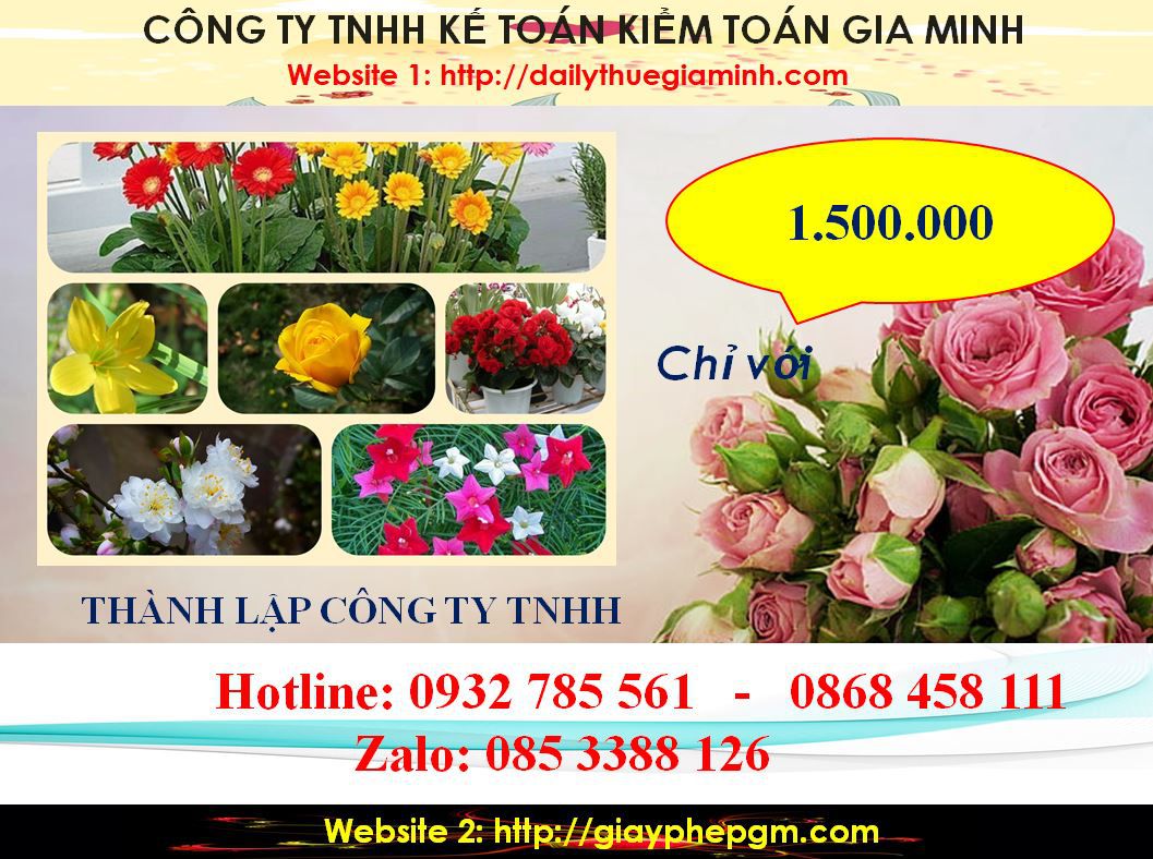 Chi Phí Thành lập công ty TNHH tại Huyện Bàu Bàng