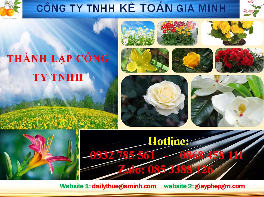 Dịch Vụ Thành lập công ty TNHH tại Huyện Bàu Bàng