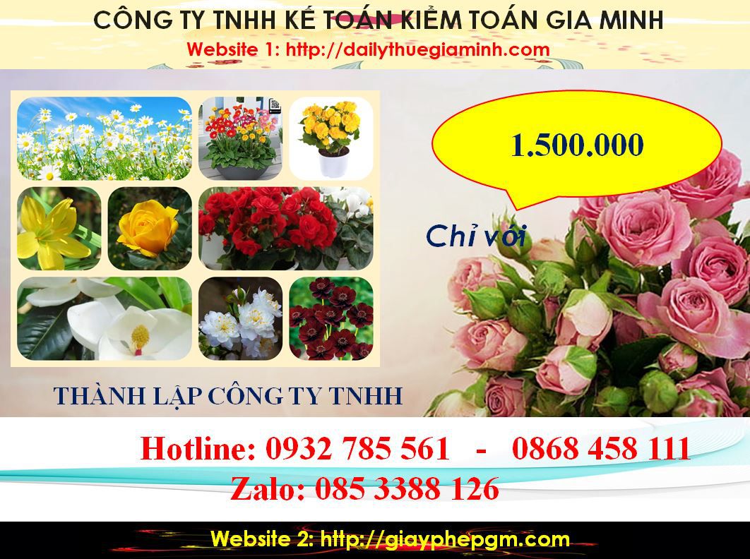 Chi Phí Thành lập công ty TNHH tại Huyện Dầu Tiếng