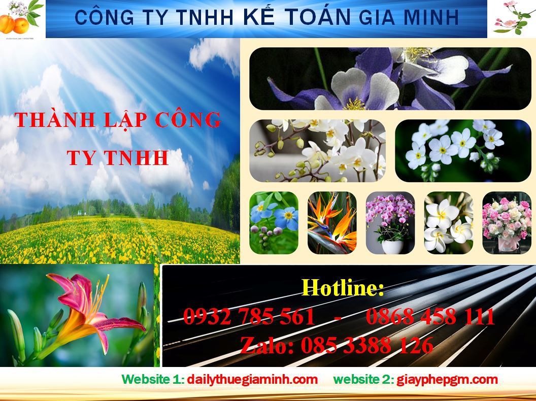 Dịch vụ Thành lập công ty TNHH tại Huyện Dầu Tiếng
