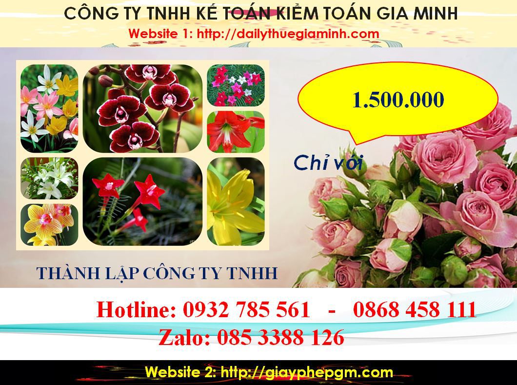 chi phí Thành lập công ty TNHH tại Huyện Hà Nội