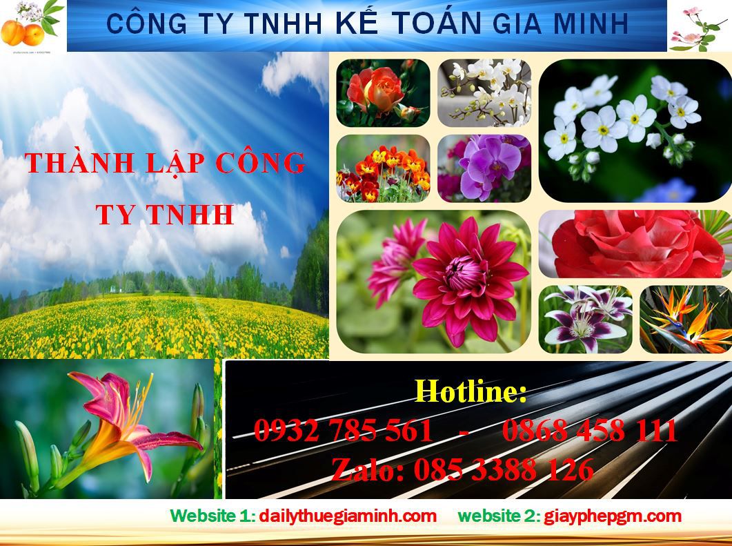 thủ tục Thành lập công ty TNHH tại Huyện Hà Nội
