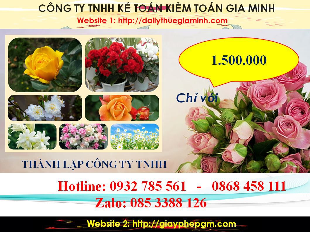 Chi Phí Thành lập công ty TNHH tại Huyện Phú Giáo