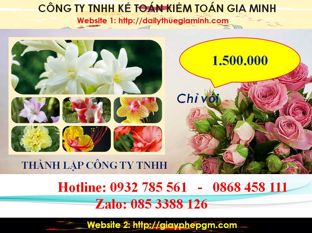 Thành lập công ty TNHH tại Khánh Hòa 5 Chi phí Thành lập công ty TNHH tại Khánh Hòa