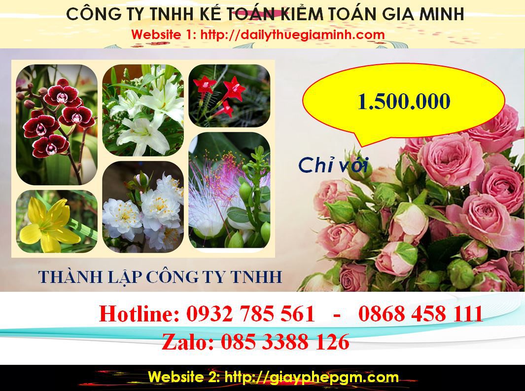 Thành lập công ty TNHH tại Lào Cai 5 Chi phí thành lập công ty TNHH 1 thành viên tại Lào Cai