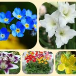 Thành lập công ty TNHH tại Quận 12 6 Muốn Thành lập công ty TNHH tại Quận 12