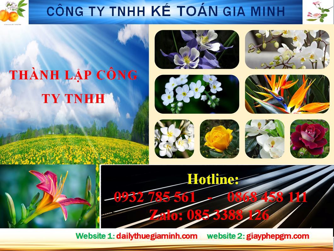 Thành lập công ty TNHH tại Quận 12 4 thủ tục Thành lập công ty TNHH tại Quận 12