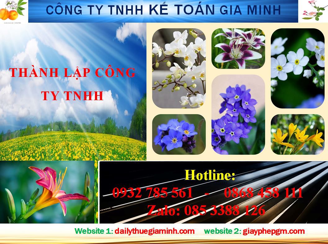 Thành lập công ty TNHH tại Quận Phú Nhuận 4 thủ tục Thành lập công ty TNHH tại Quận Phú Nhuận