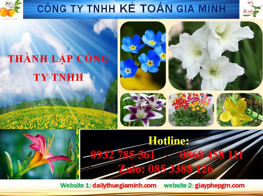 thủ tục Thành lập công ty TNHH tại Quận Thủ Đức