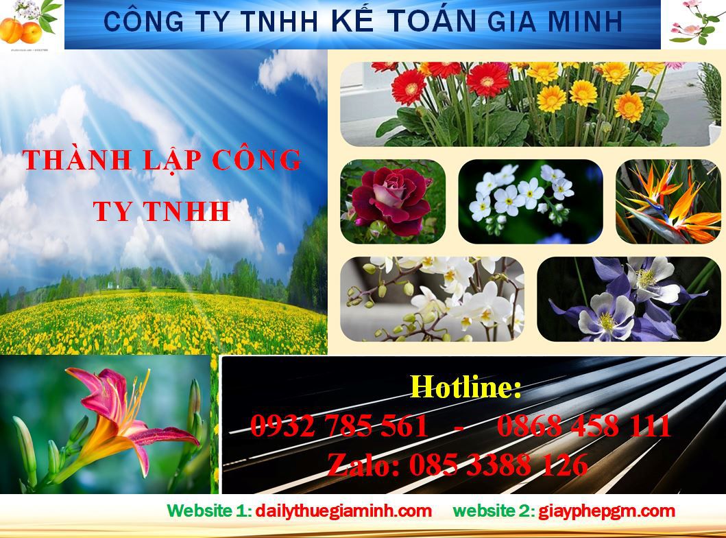 Dịch vụ Thành lập công ty TNHH tại Thị Xã Dĩ An