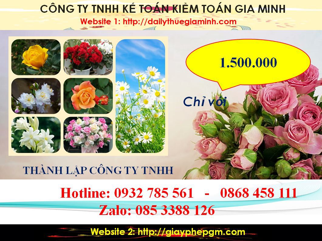 Chi Phí Thành lập công ty TNHH tại Thị Xã Tân Uyên