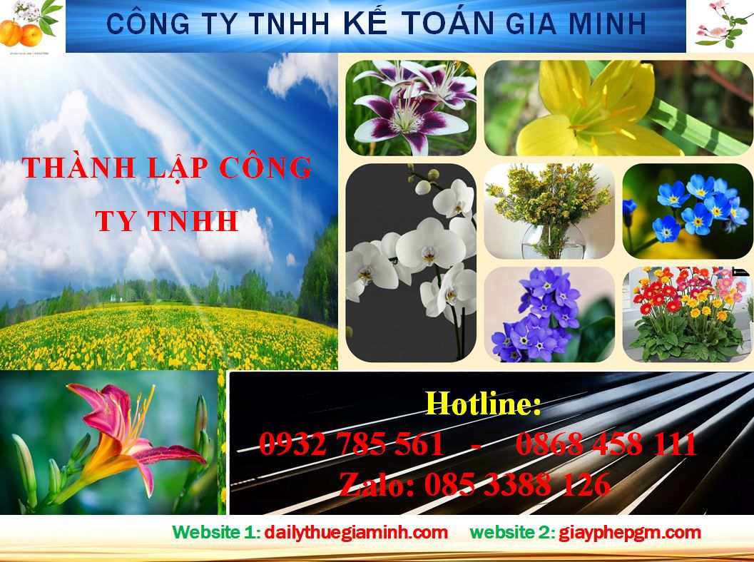 Dịch vụ Thành lập công ty TNHH tại Thị Xã Tân UYên