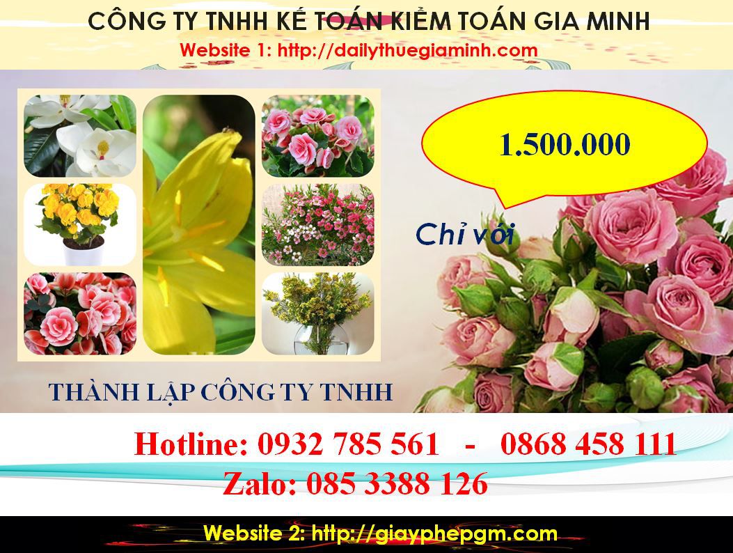 chi phí Thành lập công ty TNHH tại Thị Xã Thuận An