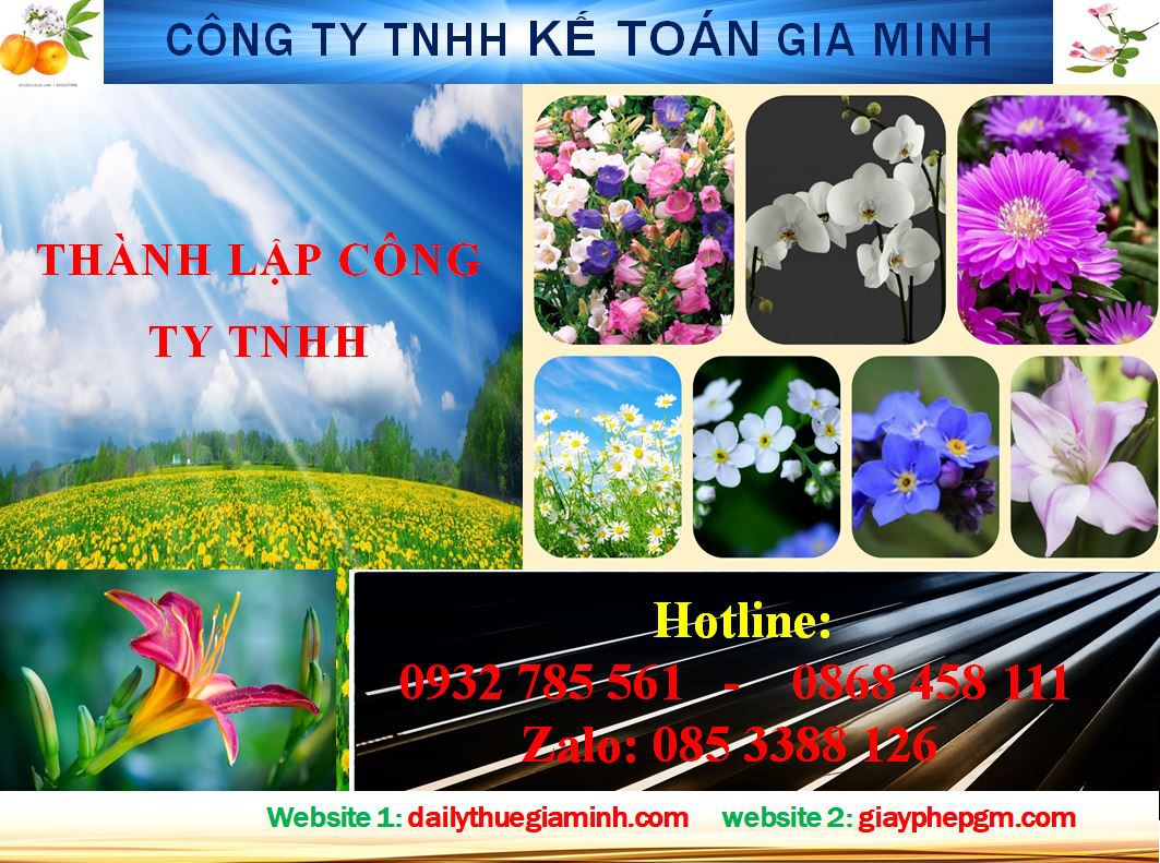 thủ tục Thành lập công ty TNHH tại Thị Xã Thuận An