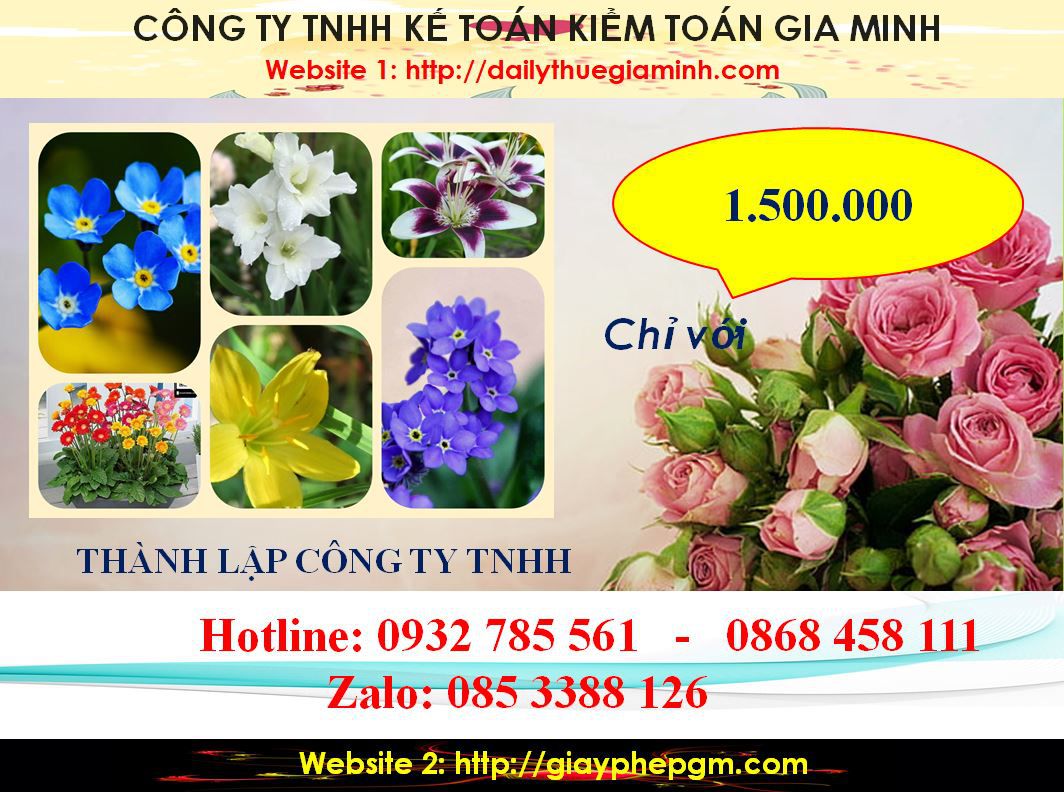 Thành lập công ty TNHH tại TP Hồ Chí Minh 5 chi phí Thành lập công ty TNHH tại TP Hồ Chí Minh
