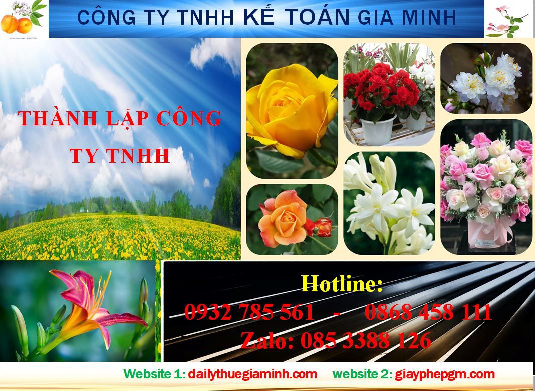 Thành lập công ty TNHH tại TP Hồ Chí Minh 4 Dịch vụ Thành lập công ty TNHH tại TP Hồ Chí Minh