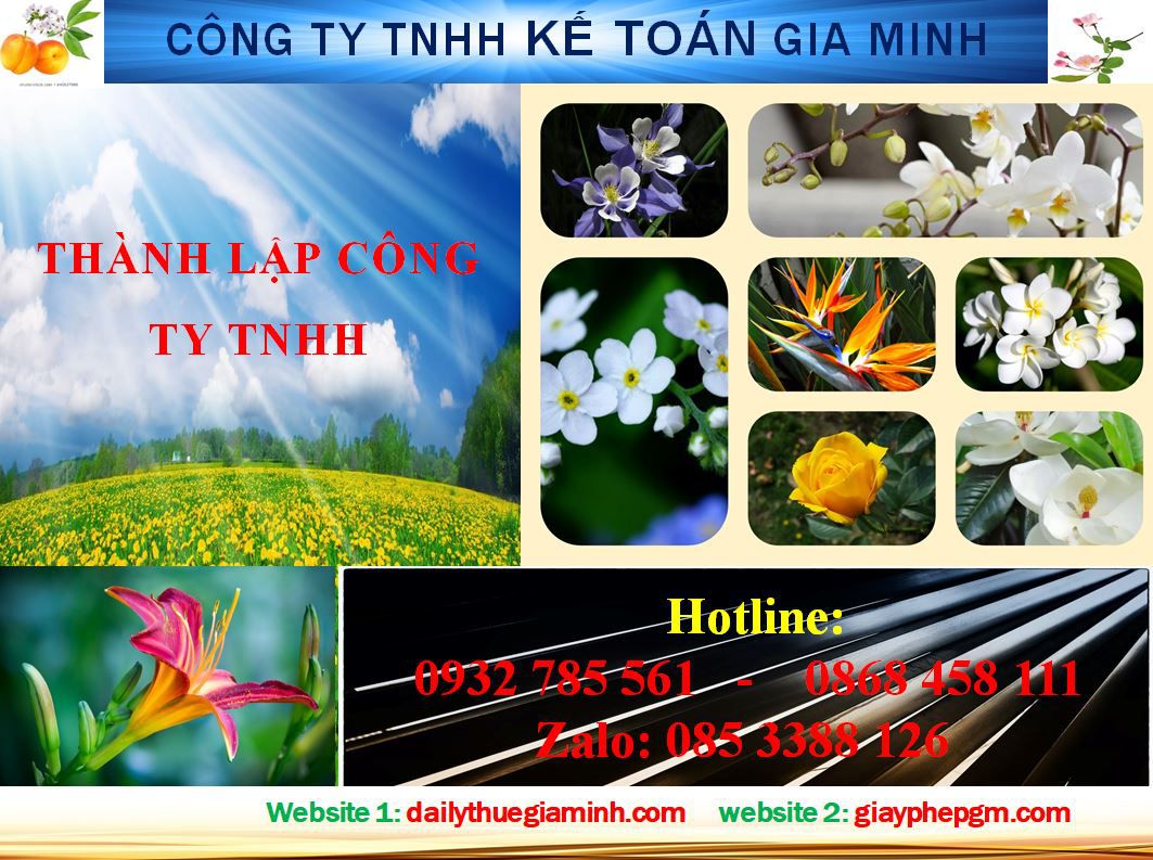 Dịch vụ Thành lập công ty TNHH tại TP HCM
