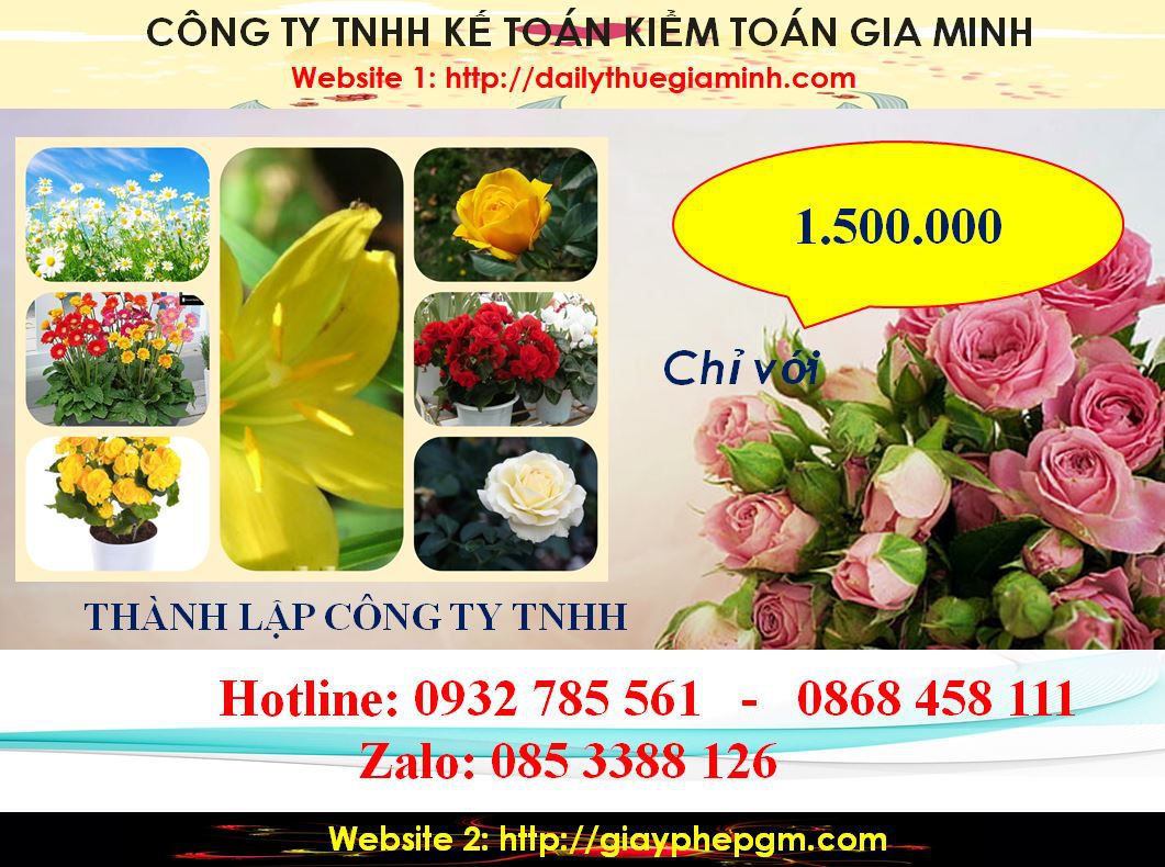 Chi Phí Thành lập công ty TNHH tại TP HCM
