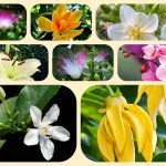 Thành lập địa điểm kinh doanh tại Bình Định 6 Muốn thành lâp địa điểm kinh doanh tại Bình Định