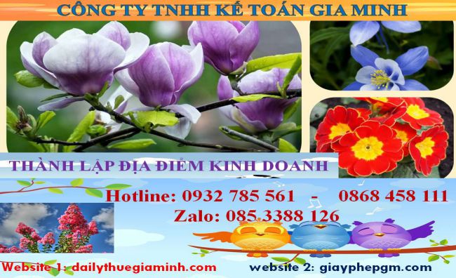 Thành lập địa điểm kinh doanh tại Bình Định 4 Thủ tục thành lâp địa điểm kinh doanh tại Bình Định