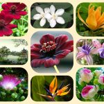 Thành lập địa điểm kinh doanh tại Cao Bằng 6 Muốn thành lâp địa điểm kinh doanh tại Cao Bằng
