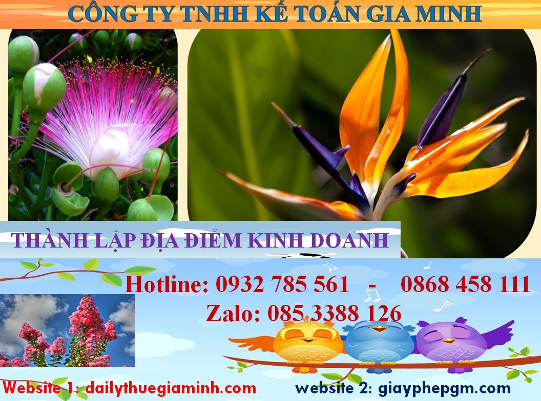Thành lập địa điểm kinh doanh tại Điện Biên 4 Thủ tục thành lâp địa điểm kinh doanh tại Điện Biên