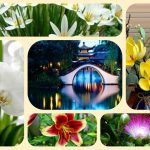 Muốn thành lâp địa điểm kinh doanh tại Đồng Tháp