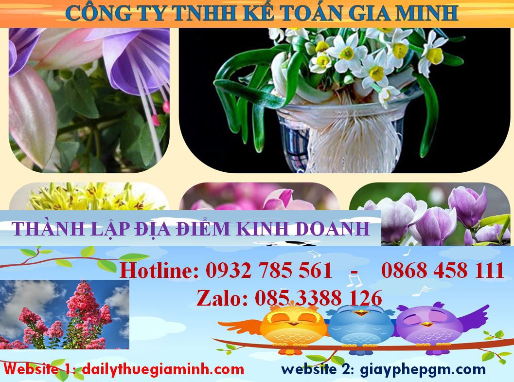 Thủ tục thành lâp địa điểm kinh doanh tại Đồng Tháp