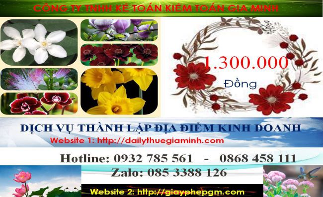 Thành lập địa điểm kinh doanh tại Hòa Bình 5 Chi phí thành lâp địa điểm kinh doanh tại Hòa Bình