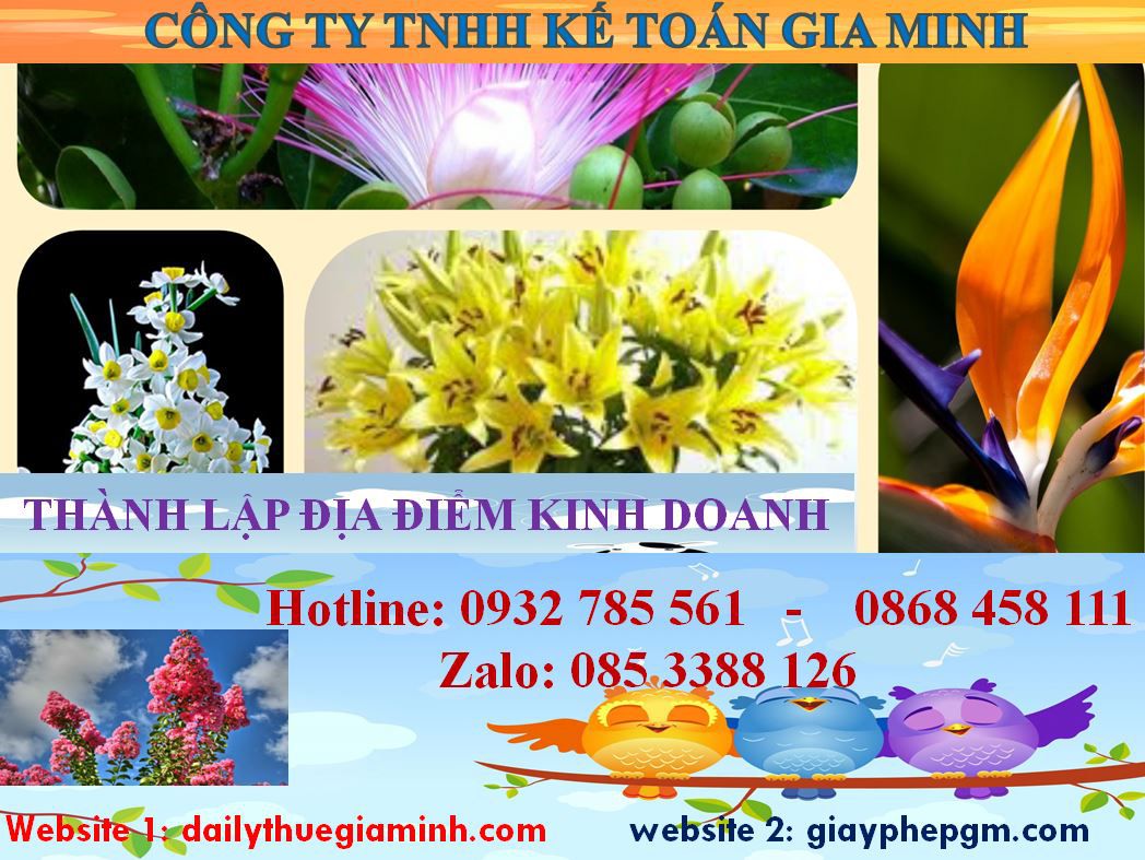 Thành lập địa điểm kinh doanh tại Hòa Bình 4 Thủ tục thành lâp địa điểm kinh doanh tại Hòa Bình