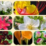 Thành lập địa điểm kinh doanh tại Huế 4 Muốn thành lâp địa điểm kinh doanh tại Huế