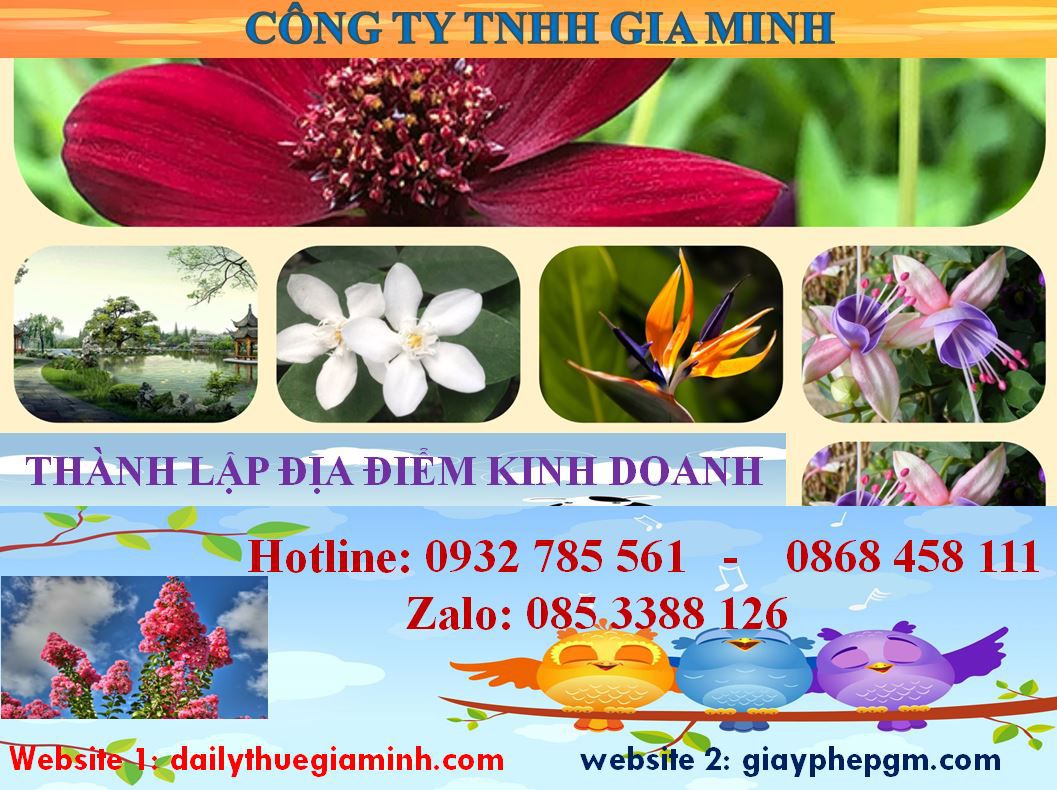 Thủ tục thành lâp địa điểm kinh doanh tại Huyện Bàu Bàng