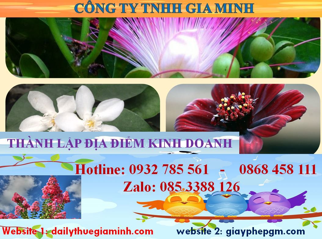 Thành lập địa điểm kinh doanh tại Huyện Củ Chi 4 Thủ tục thành lâp địa điểm kinh doanh tại Huyện Củ Chi