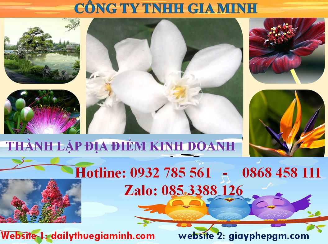 Thủ tục thành lâp địa điểm kinh doanh tại Huyện Dầu Tiếng