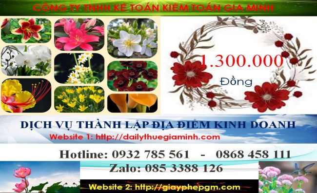 Chi phí thành lâp địa điểm kinh doanh tại Huyện Hà Nội