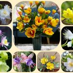 Thành lập địa điểm kinh doanh tại Huyện Nhà Bè 3 Muốn thành lâp địa điểm kinh doanh tại Huyện Nhà Bè
