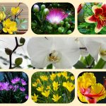 Muốn thành lâp địa điểm kinh doanh tại Lai Châu