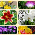 Thành lập địa điểm kinh doanh tại Lâm Đồng 3 Muốn thành lâp địa điểm kinh doanh tại Lâm Đồng