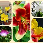 Thành lập địa điểm kinh doanh tại Nam Định 6 Muốn thành lâp địa điểm kinh doanh tại Nam Định