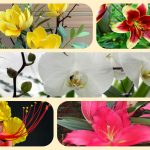 Thành lập địa điểm kinh doanh tại Ninh Bình 6 Muốn thành lâp địa điểm kinh doanh tại Ninh Bình