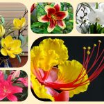 Thành lập địa điểm kinh doanh tại Phú Thọ 6 Muốn thành lâp địa điểm kinh doanh tại Phú Thọ