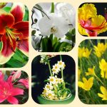 Thành lập địa điểm kinh doanh tại Sơn La 6 Muốn thành lâp địa điểm kinh doanh tại Sơn La
