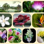 Muốn thành lâp địa điểm kinh doanh tại Thái Bình