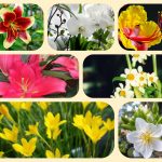 Muốn thành lâp địa điểm kinh doanh tại Thái Nguyên