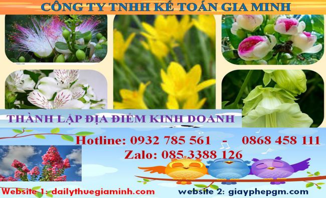 Thủ tục thành lâp địa điểm kinh doanh tại Thái Nguyên