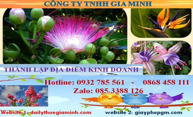 Thủ tục thành lâp địa điểm kinh doanh tại Thành phố Thủ Dầu Một